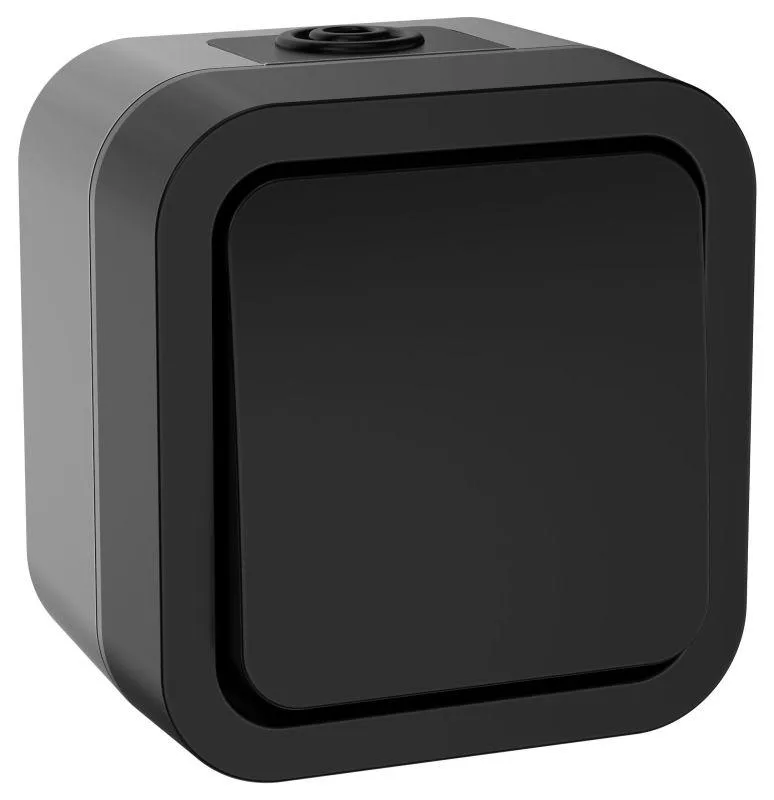 Выключатель кнопочный 1-кл. ОП TORS 10А IP55 TS110 графит TS-V14-0-10-55-K53