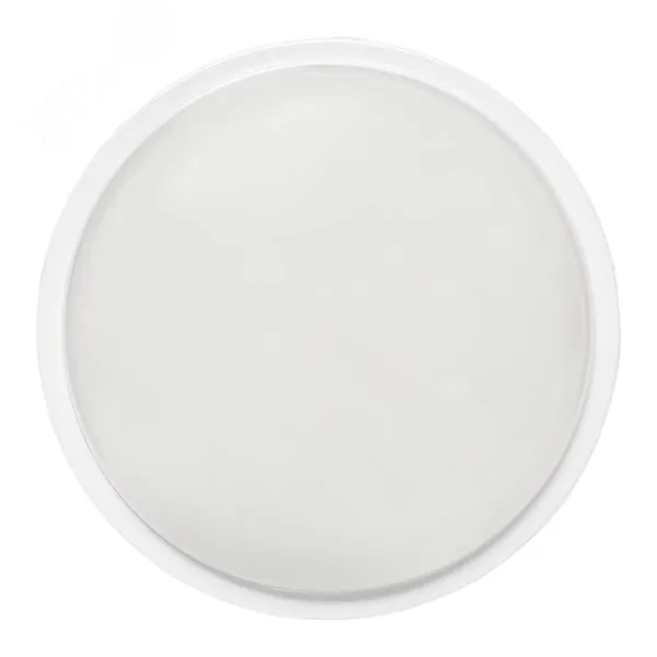 Светильник светодиодный ЖКХ ДПО-2012 25Вт 6500К IP65 круг PROxima BKL-2012-R-25-6500