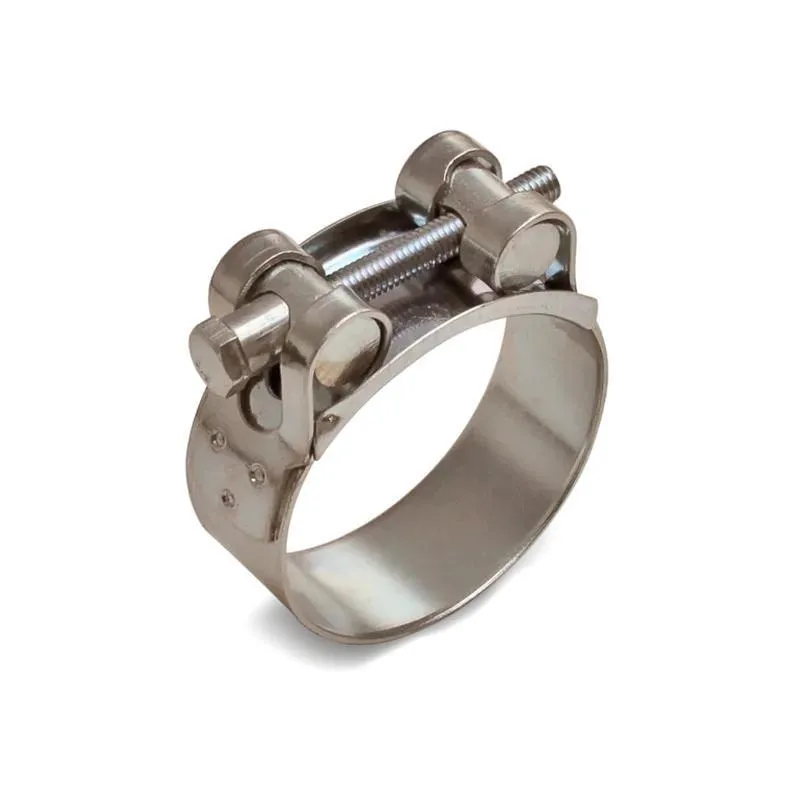 Хомут силовой ROBUST SR 64-67/W2 (уп.10шт) 80578