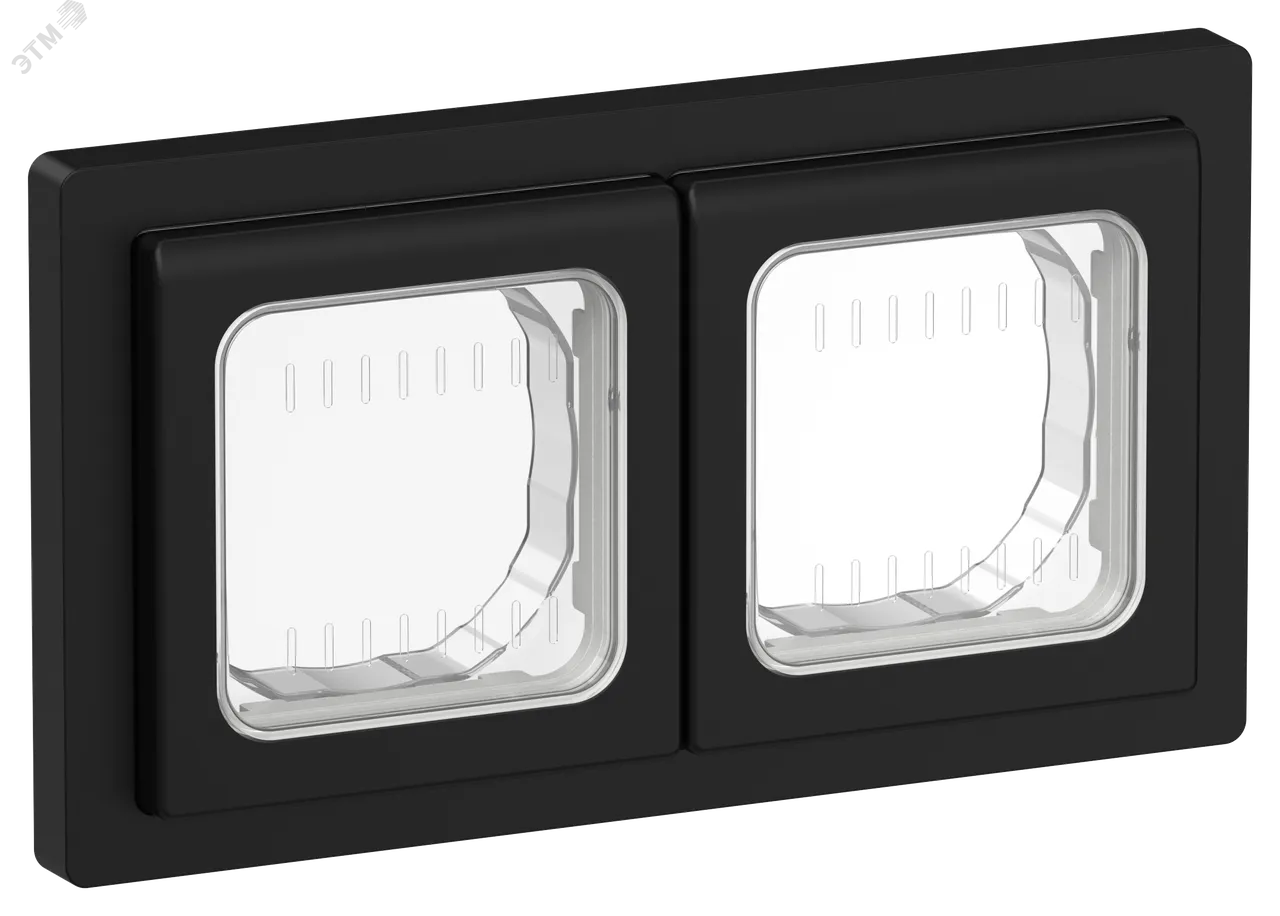 FLITE Рамка 2-местная IP55 Рпро-2-55-ФлЧ черный IEK FI-M20-32-55-K02