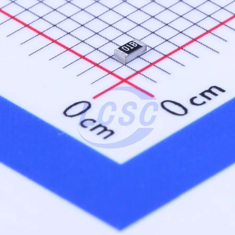 RS-03K1001FT
