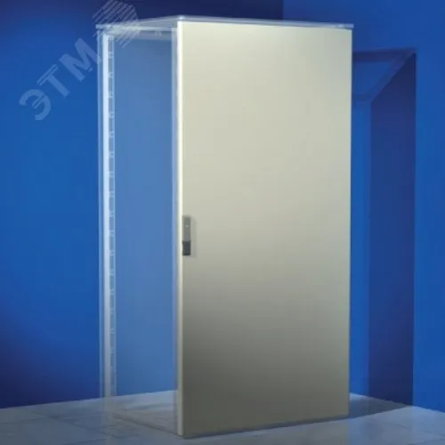 Дверь сплошная для шкафов CQE/DAE ВхШ 2200х800 мм R5CPE2280