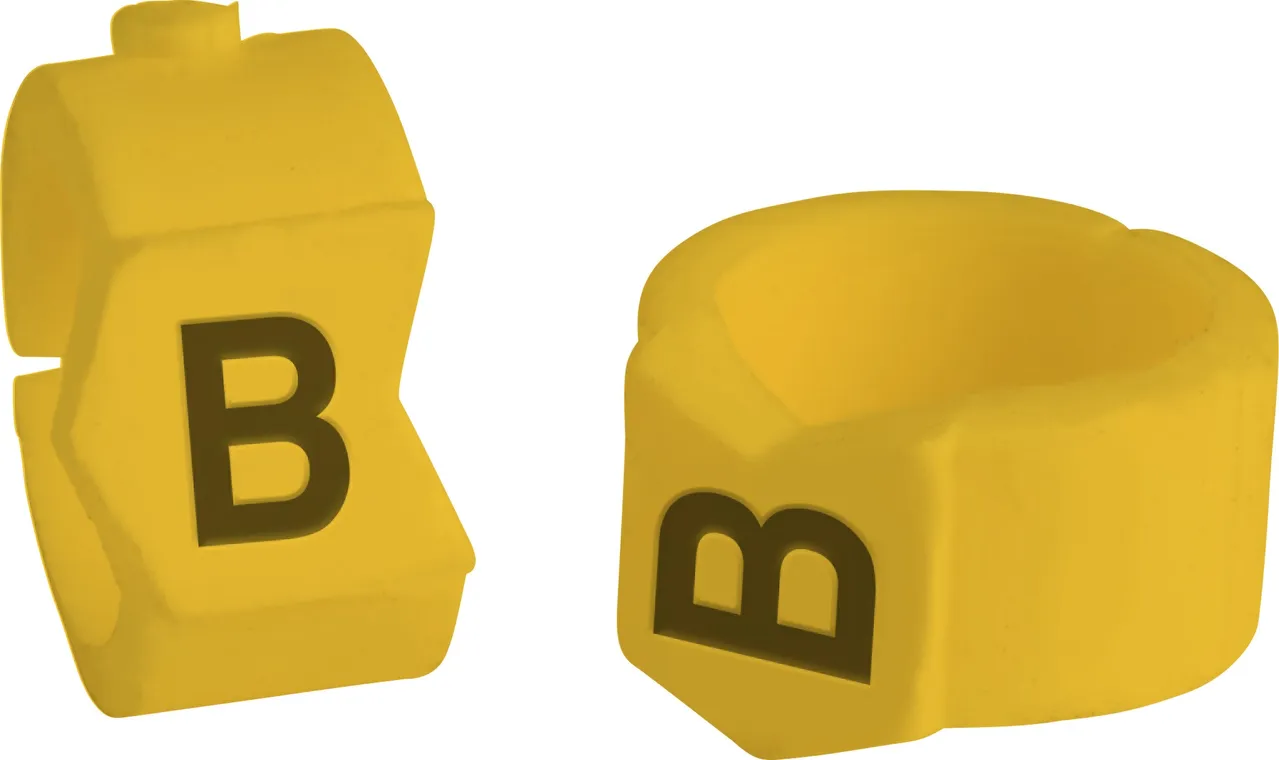 brd333511