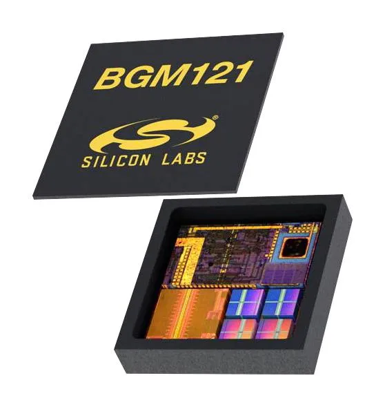BGM121A256V2