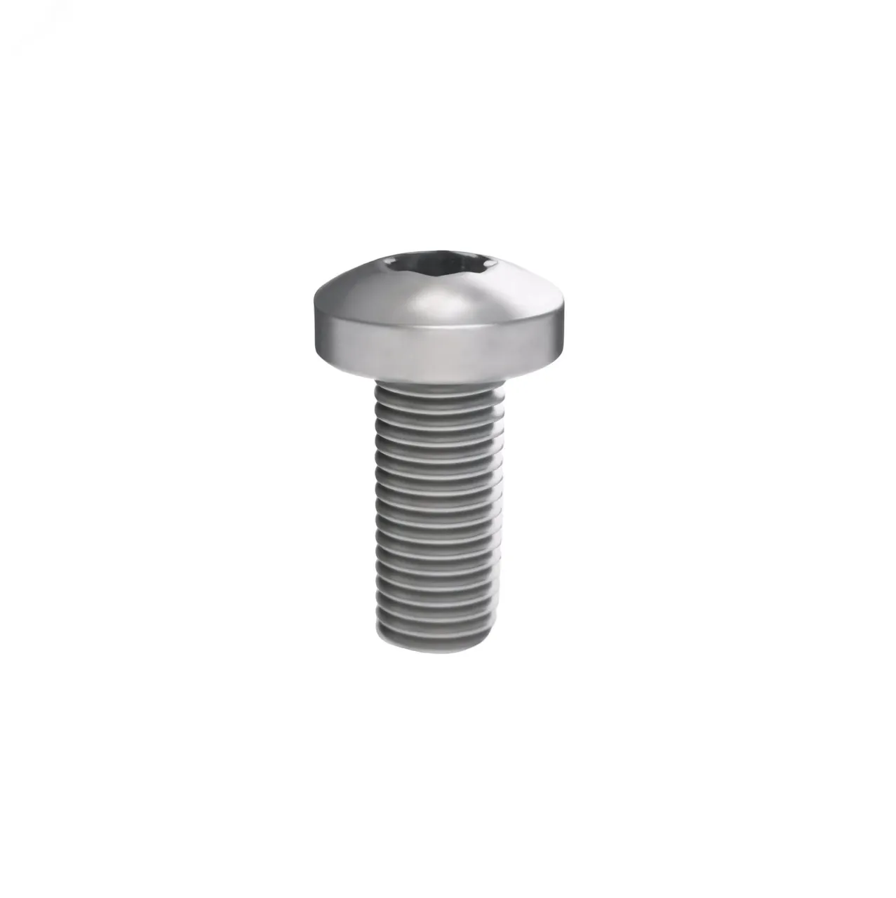 Винт М5х12 под шлиц Torx, 100 шт. R5M512