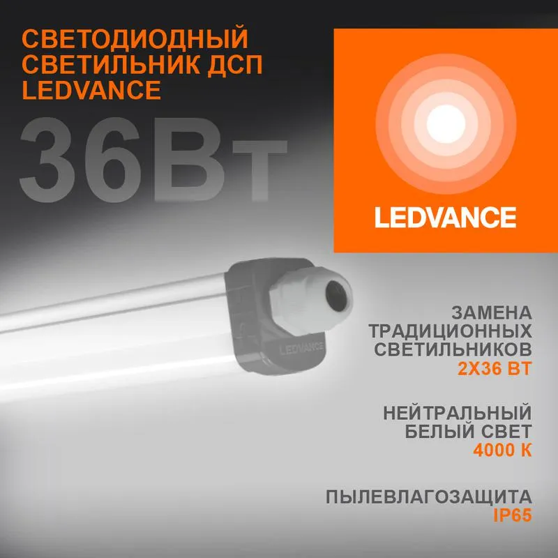 Светильник светодиодный Eco Class Damp Proof Slim 36Вт 4000К IP65 3700лм 1.2м ДСП промышленный накладной/подвесной сер. (аналог ЛСП) 4058075169128
