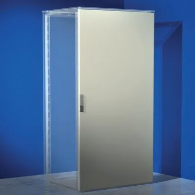 Дверь сплошная для шкафов CQE/DAE ВхШ 2200х300 мм R5CPE2230