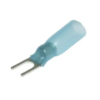 SV2-4 HST BLUE