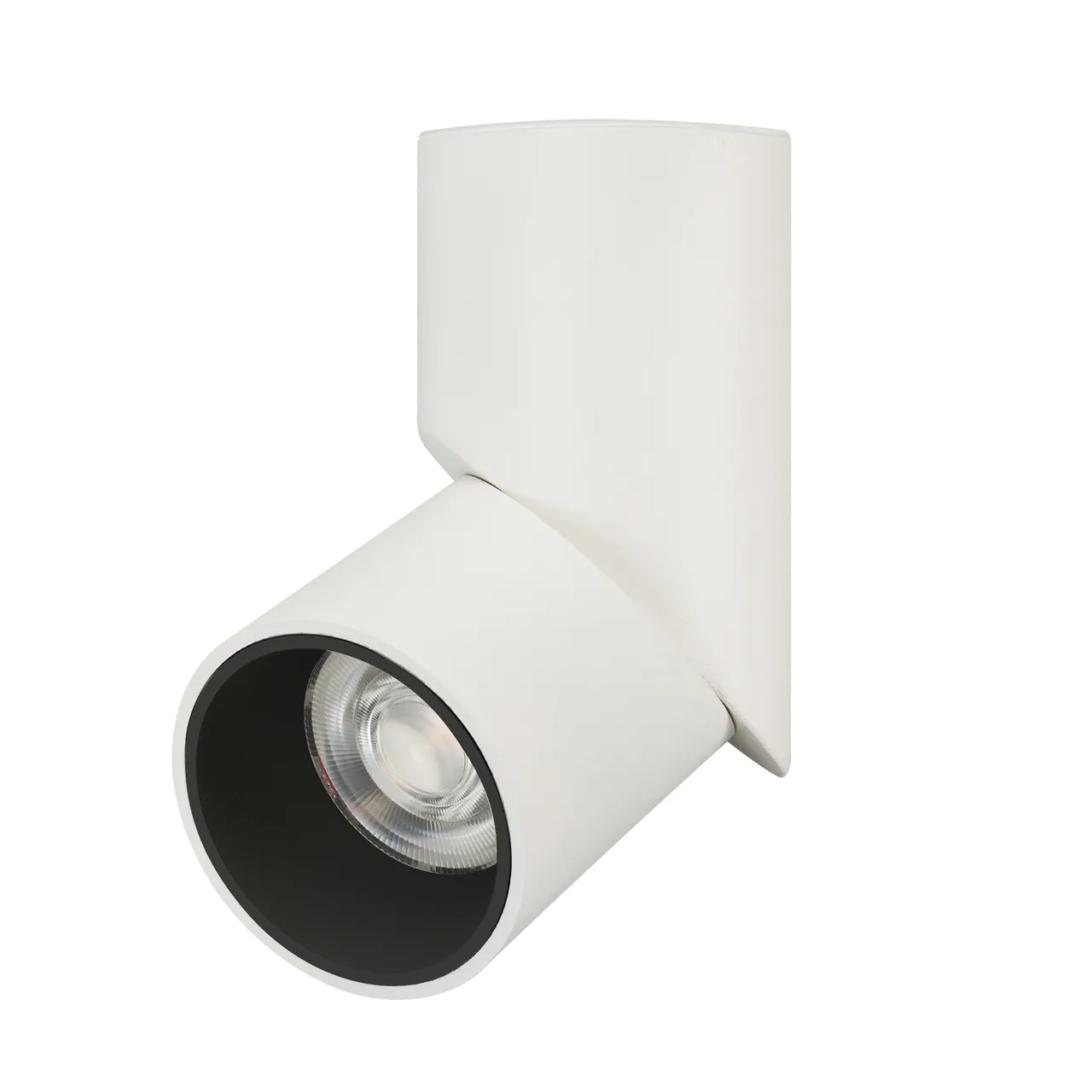 Светильник SP-TWIST-SURFACE-R70-12W Day4000 (WH-BK, 30 deg) 025453(1)