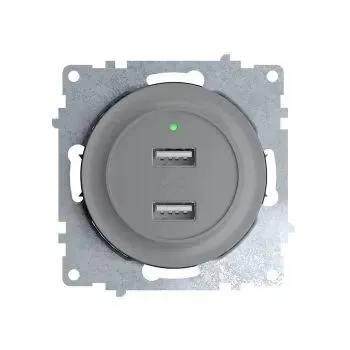 Розетка USB 2-м СП Florence 16А IP20 с подсветкой механизм сер. (1E10351302) 2260091