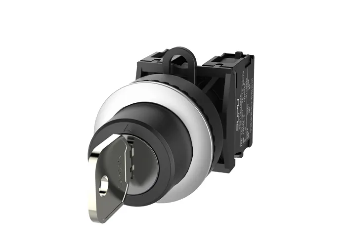 Селекторный переключатель (черный) TS2520-2BM60-S20