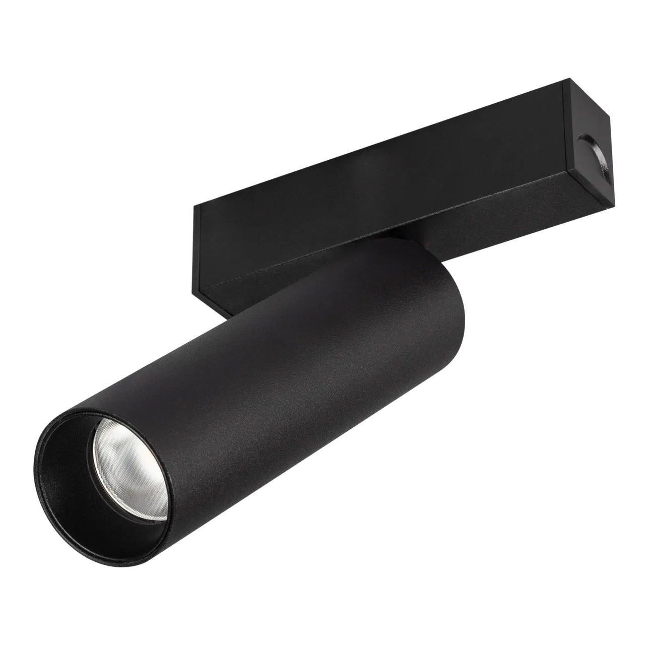 Светильник MAG-SPOT-25-R120-12W Warm3000 (BK, 30 deg, 24V) 033678