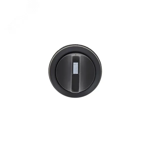Переключатель SW2C-11X/2 2P NO+NC PROxima sw2c-11x/2